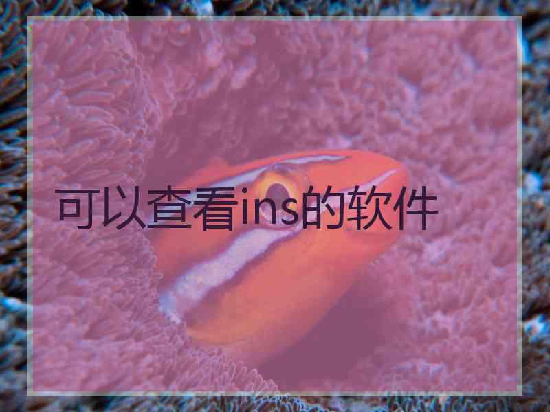 可以查看ins的软件