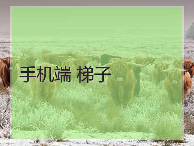 手机端 梯子