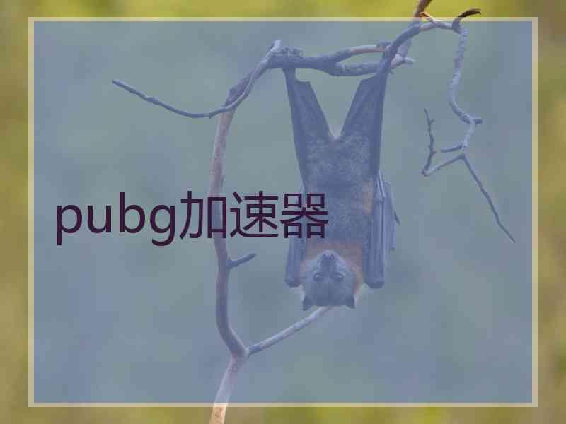 pubg加速器