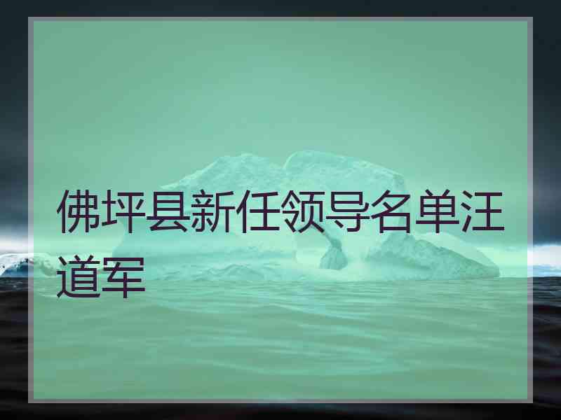 佛坪县新任领导名单汪道军