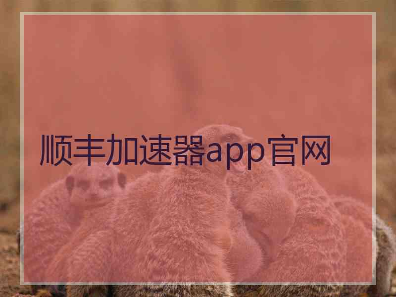 顺丰加速器app官网