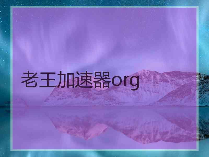 老王加速器org