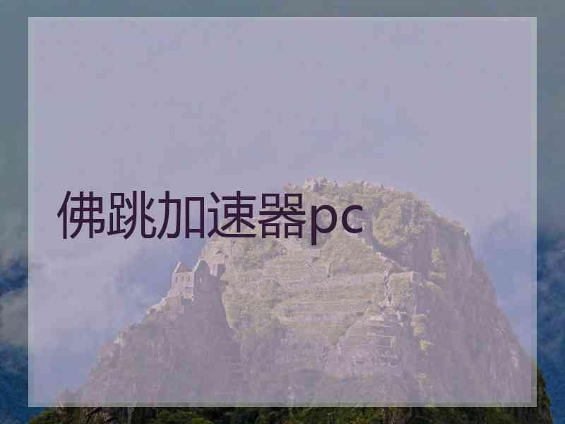 佛跳加速器pc