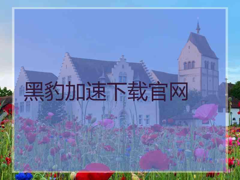 黑豹加速下载官网