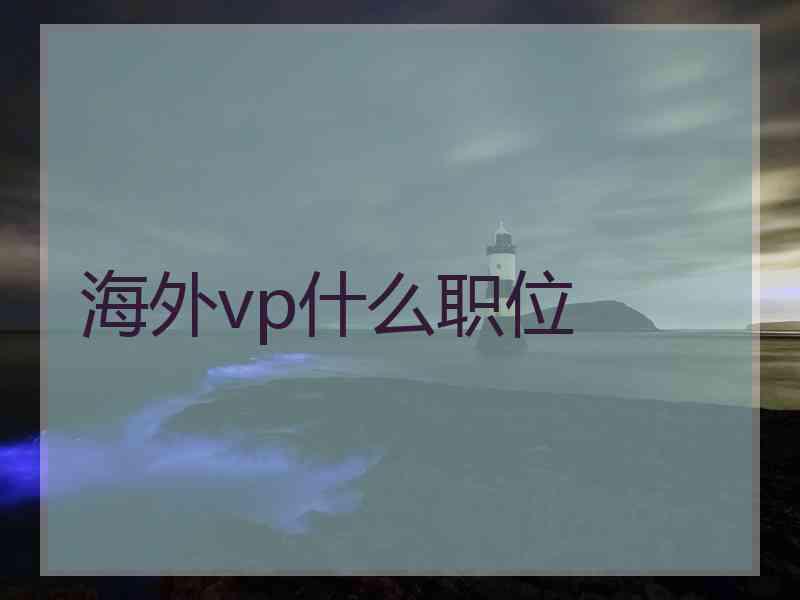 海外vp什么职位