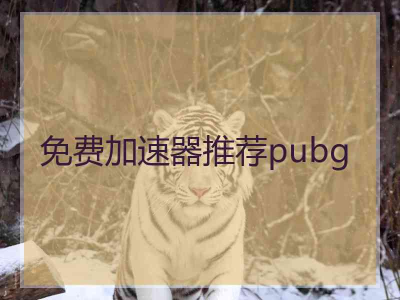 免费加速器推荐pubg