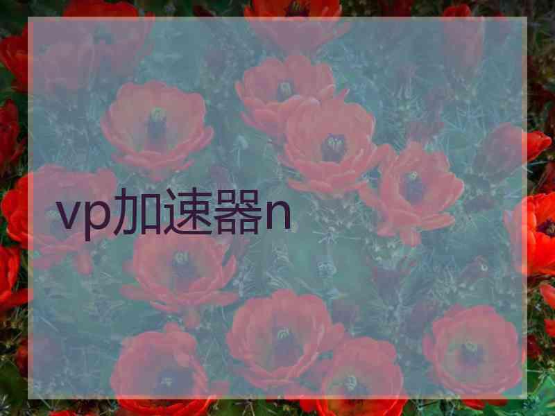 vp加速器n