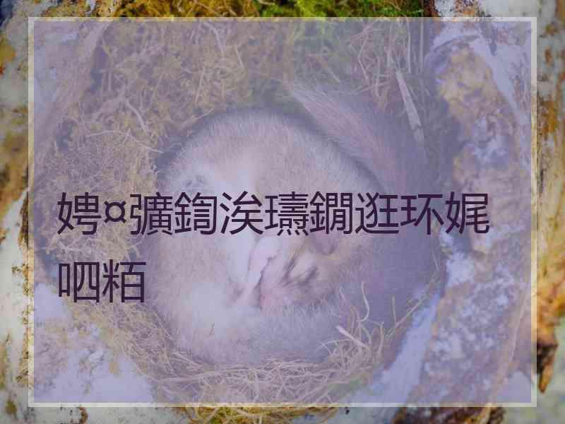 娉¤彍鍧涘瓙鐗逛环娓呬粨