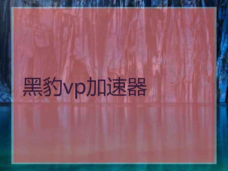 黑豹vp加速器