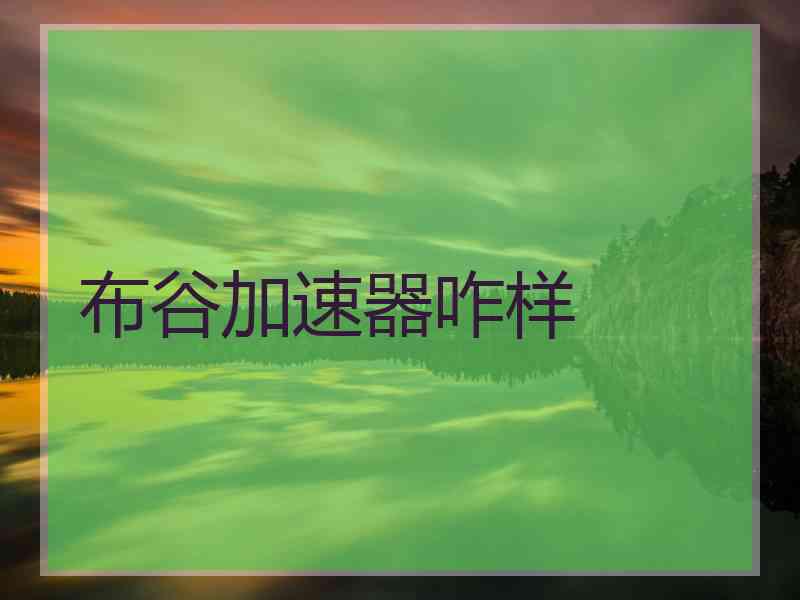 布谷加速器咋样