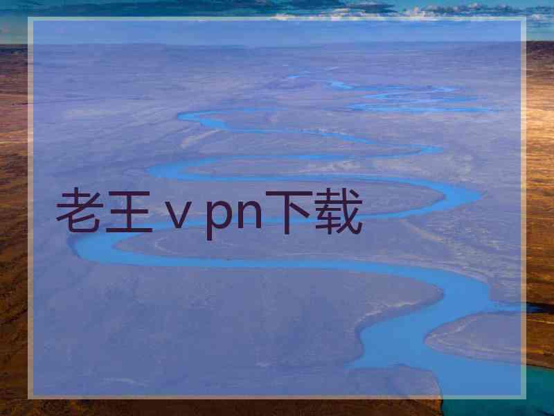 老王ⅴpn下载