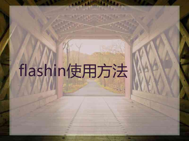 flashin使用方法