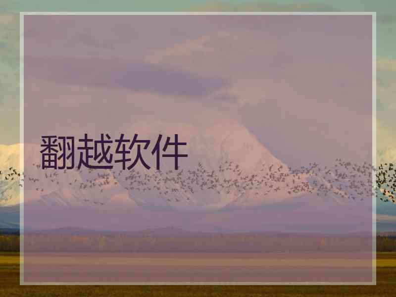 翻越软件