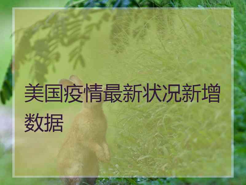 美国疫情最新状况新增数据
