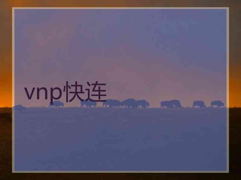 vnp快连
