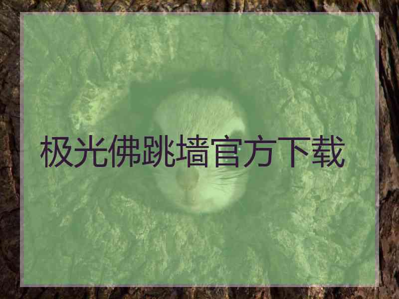 极光佛跳墙官方下载