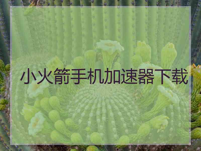 小火箭手机加速器下载