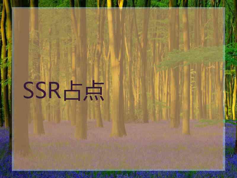 SSR占点