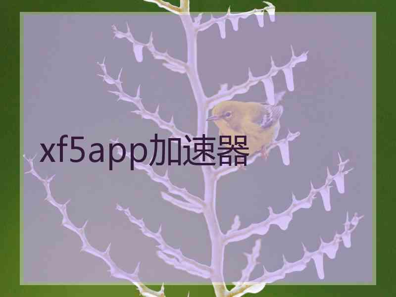 xf5app加速器