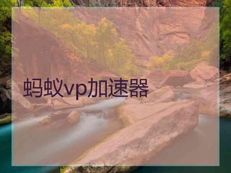 蚂蚁vp加速器