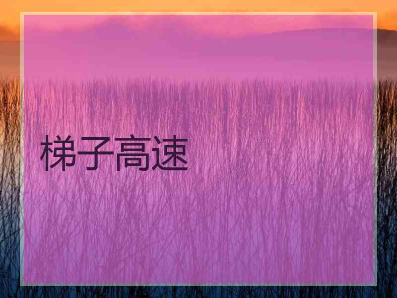 梯子高速