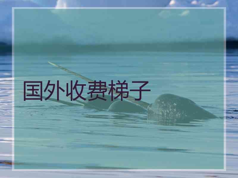 国外收费梯子