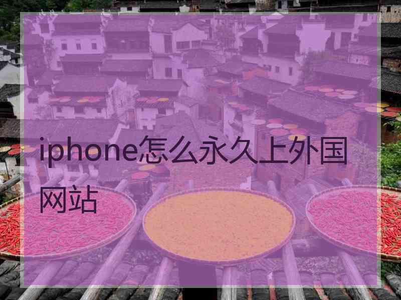 iphone怎么永久上外国网站