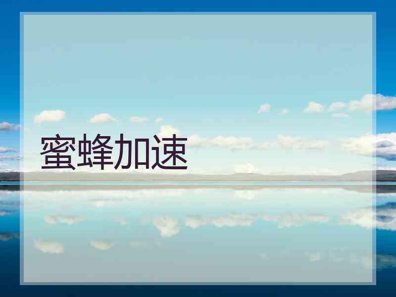 蜜蜂加速
