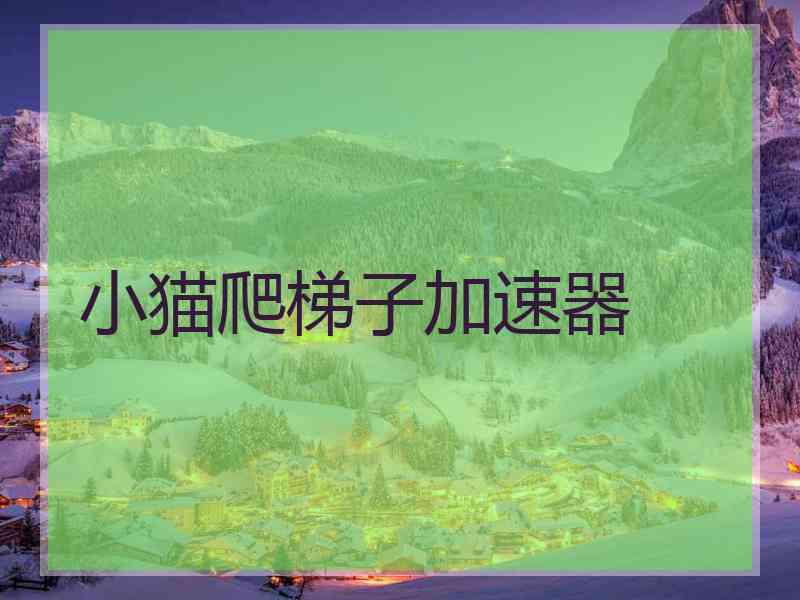 小猫爬梯子加速器