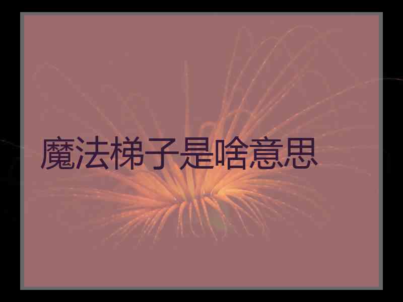 魔法梯子是啥意思