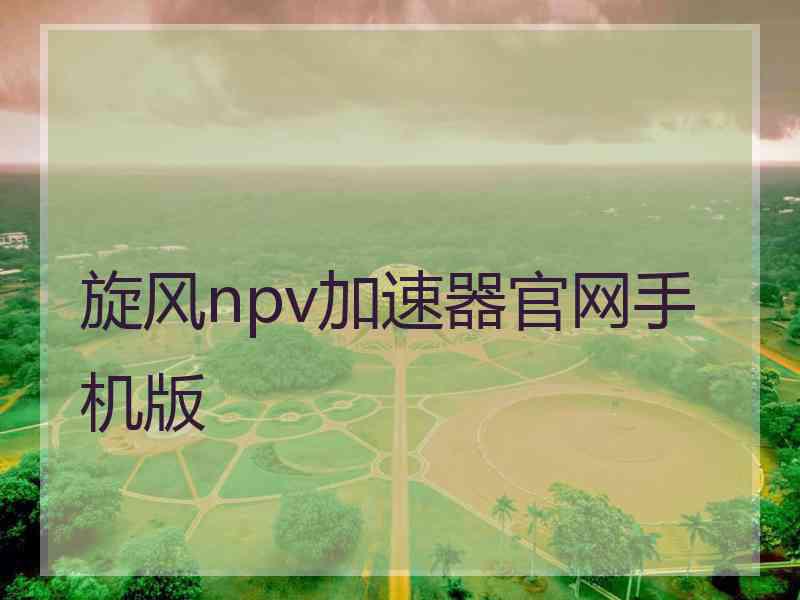 旋风npv加速器官网手机版