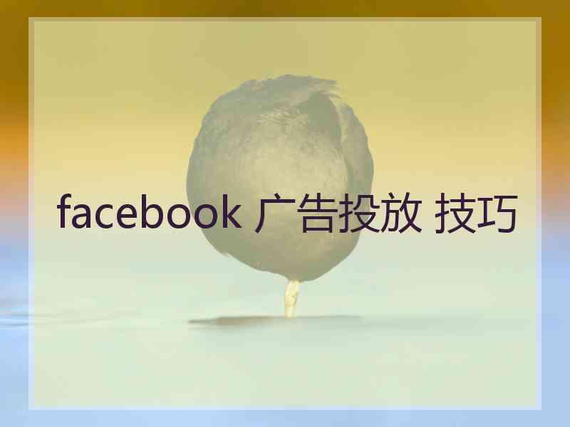 facebook 广告投放 技巧