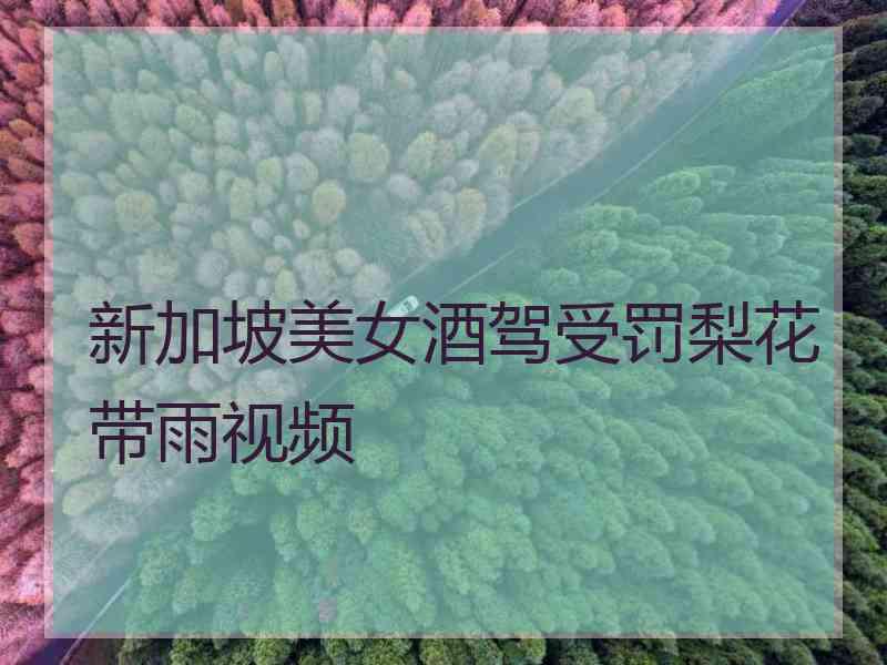 新加坡美女酒驾受罚梨花带雨视频