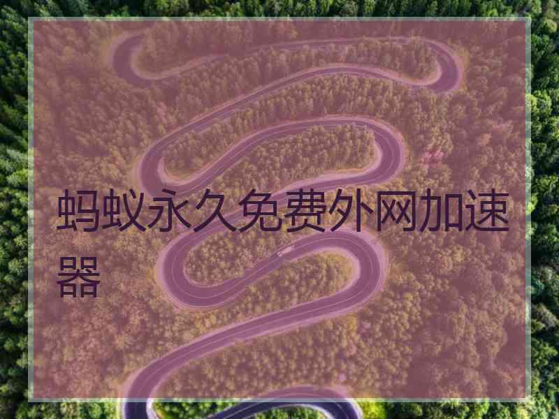 蚂蚁永久免费外网加速器