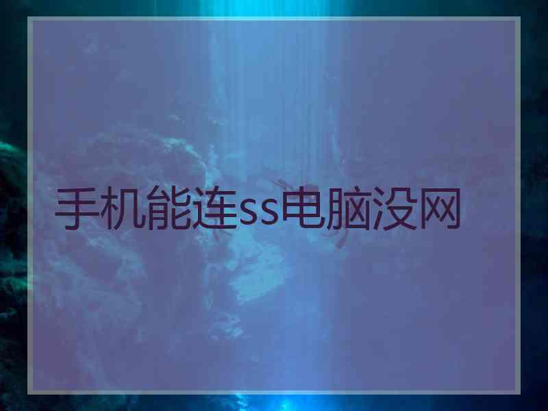 手机能连ss电脑没网