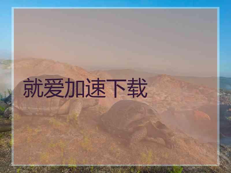 就爱加速下载