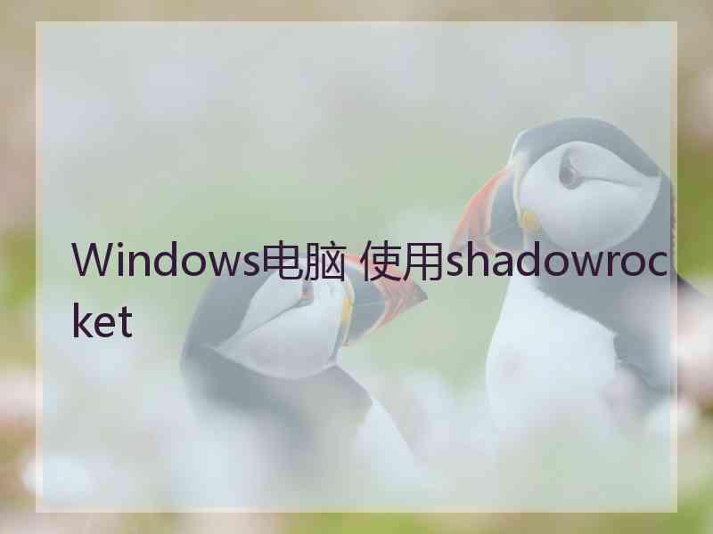 Windows电脑 使用shadowrocket