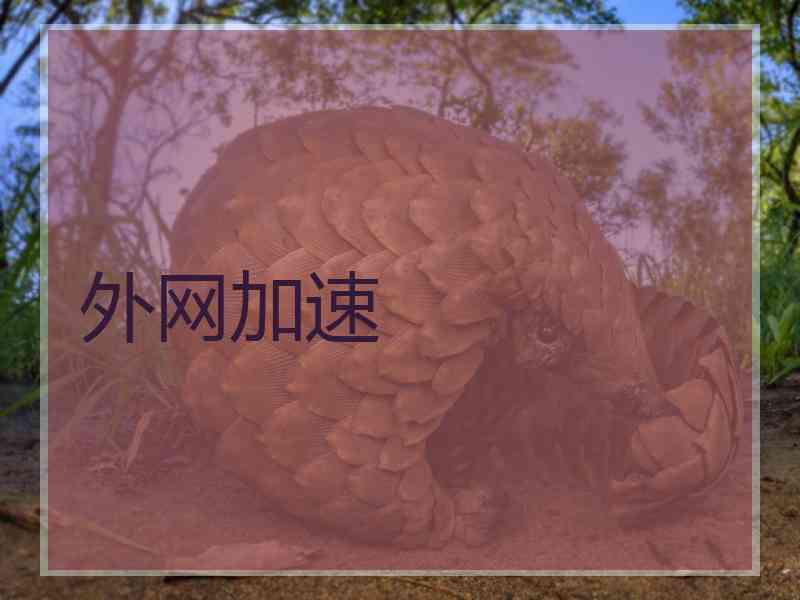 外网加速