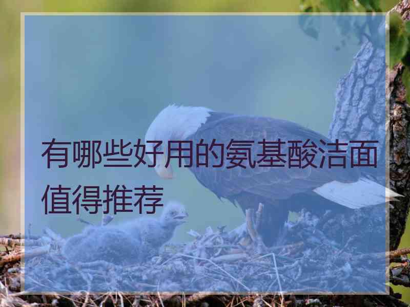 有哪些好用的氨基酸洁面值得推荐