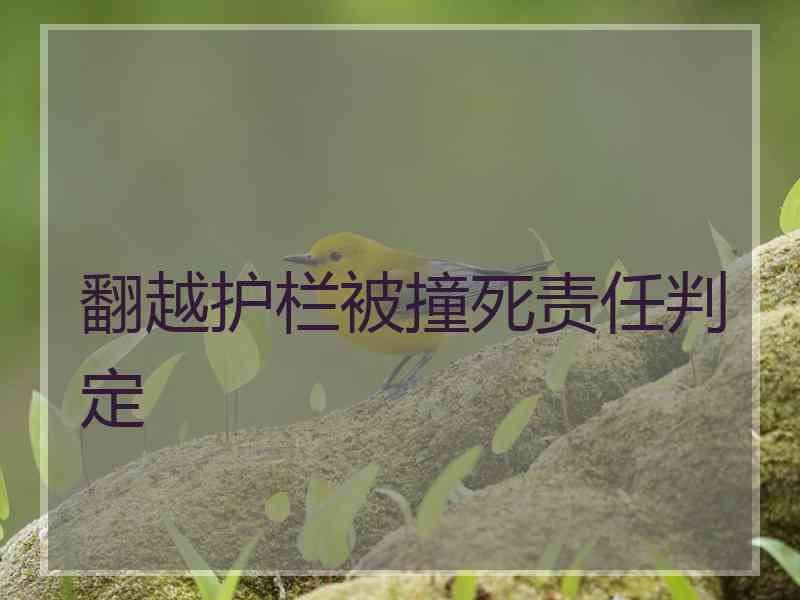翻越护栏被撞死责任判定