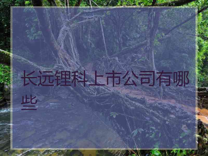 长远锂科上市公司有哪些