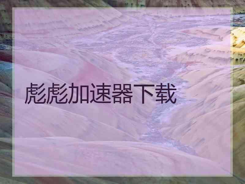彪彪加速器下载