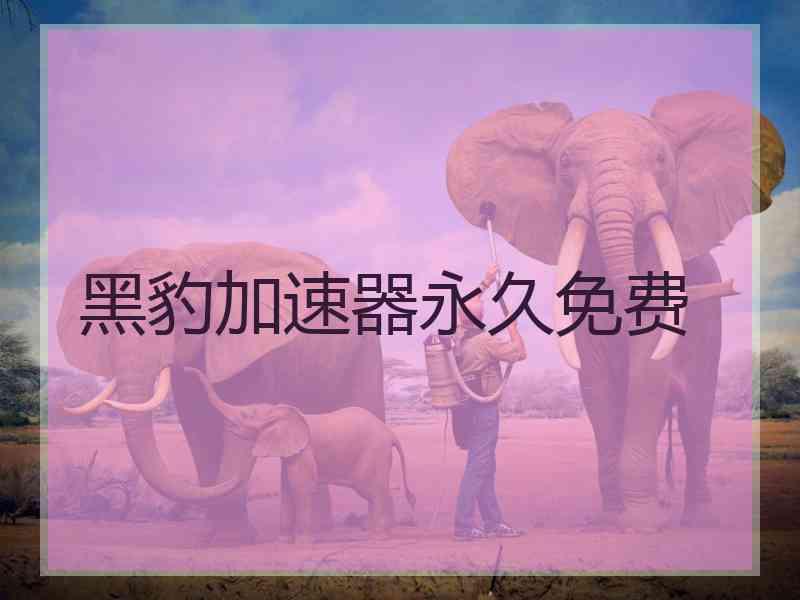 黑豹加速器永久免费