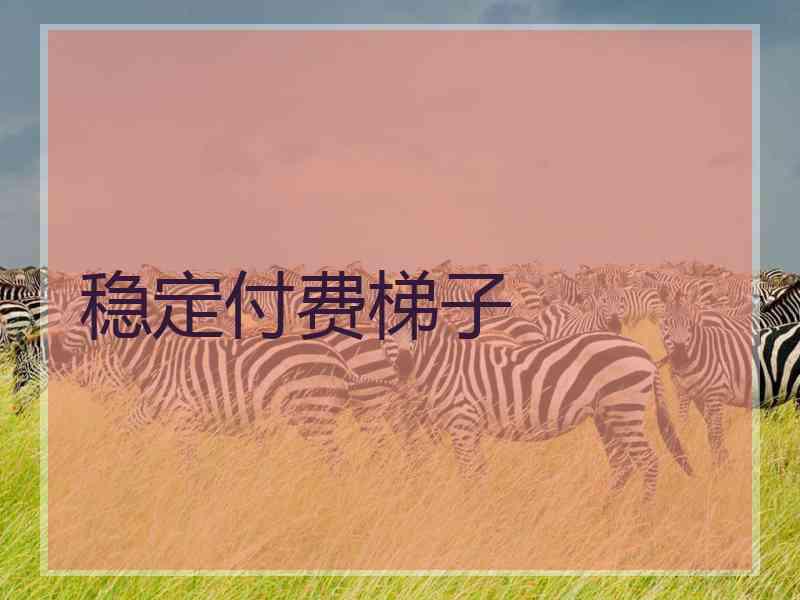 稳定付费梯子