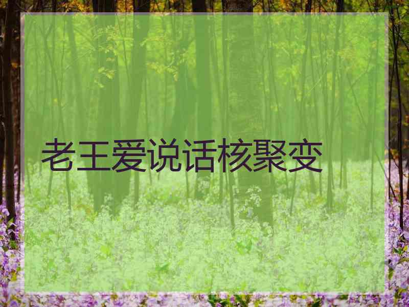 老王爱说话核聚变