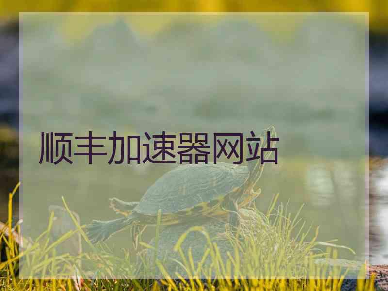 顺丰加速器网站