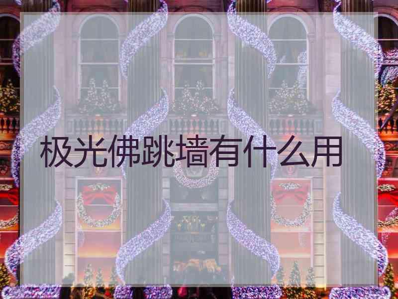 极光佛跳墙有什么用