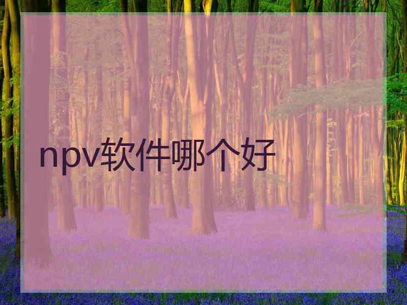 npv软件哪个好
