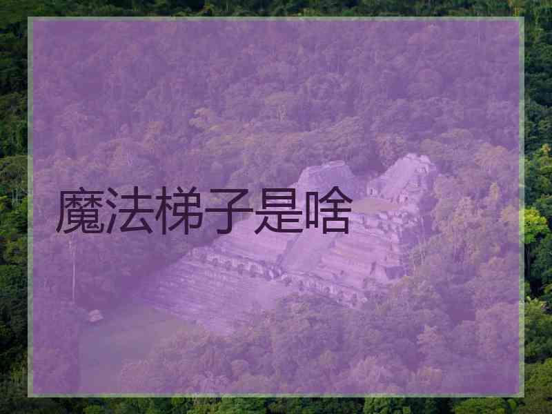 魔法梯子是啥