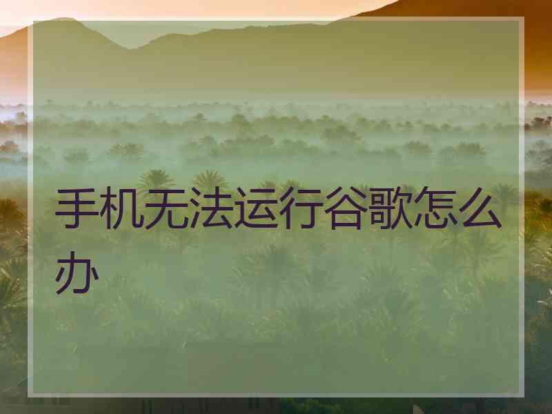手机无法运行谷歌怎么办